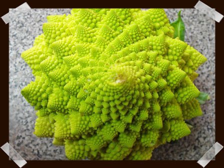 Romanescu Romanescu